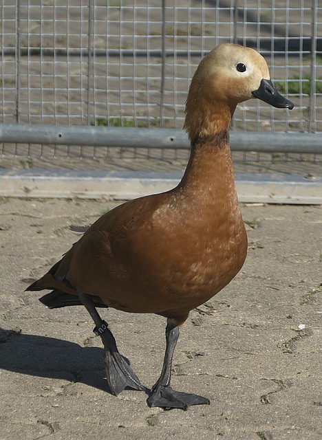 是关键