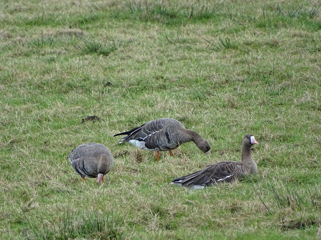 套行之有效 套行之有效